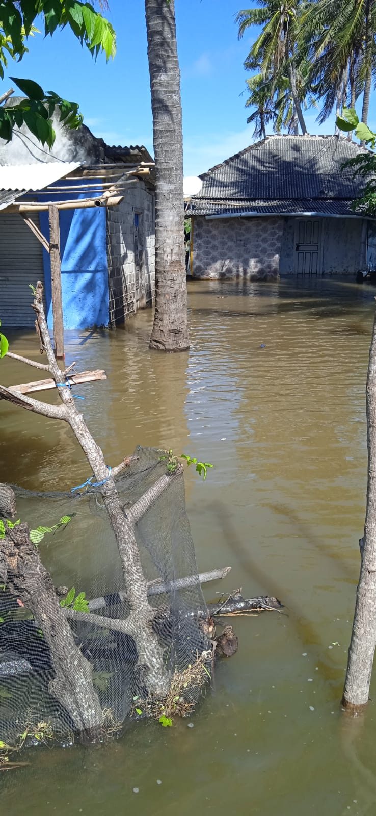 SATU BULAN TERGENANG, TAK SATU PUN LANGKAH PROVINSI MENYENTUH SELATAN JEROWARU